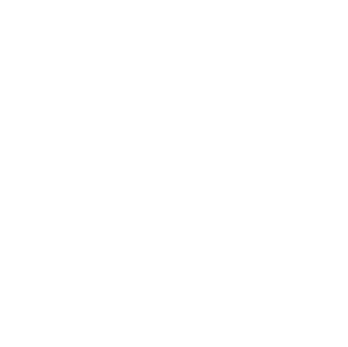 Validation icon