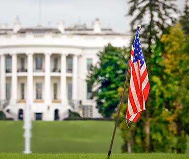 Flag waving