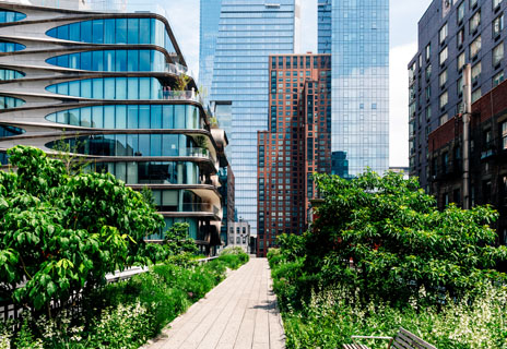 Green urban city buildings with trees representing environmental sustainability