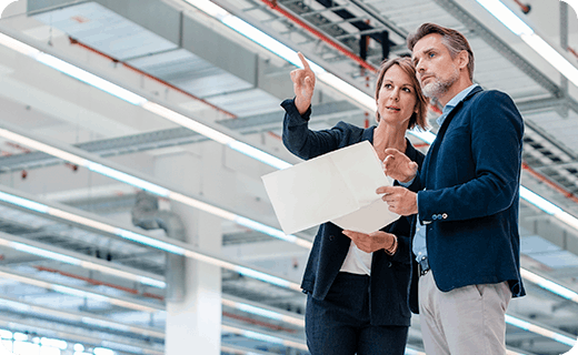 Businesswoman discussing plan